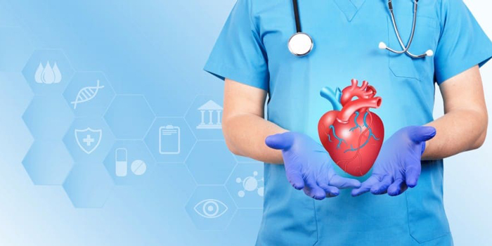Cardiology 