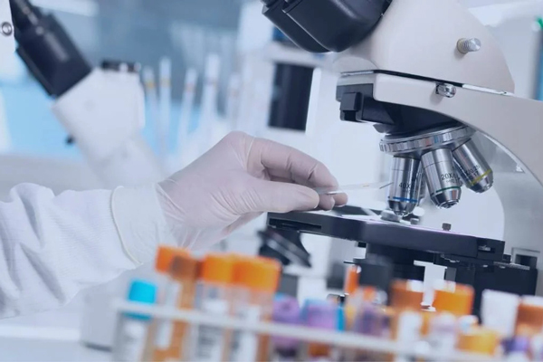 Laboratory & Pathology